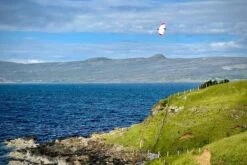 Dream-Flight Weasel-Trek 90cm -RC Models Store dream flight weasel trek 90cm 20