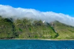 Dream-Flight Weasel-Trek 90cm -RC Models Store dream flight weasel trek 90cm 30